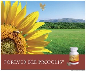 propolis