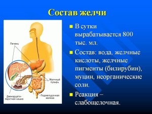 Sostav-zhelchi