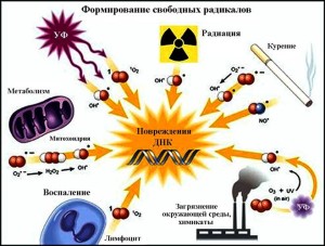 the-formation-of-free-radicals