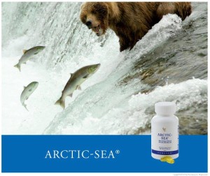 Arctic Sea 